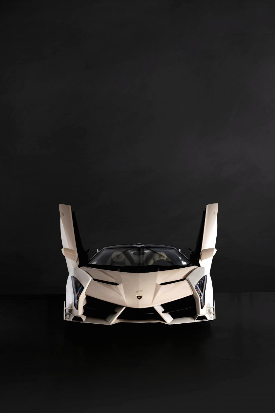  Lamborghini Veneno Roadster 2014 года  (фото 25 из 36)